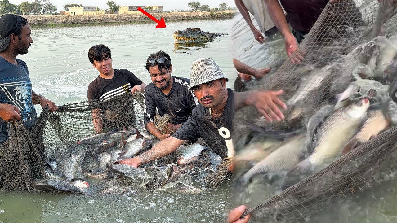 10000+ Fishes Ko Pakar Lea 🐠🐟