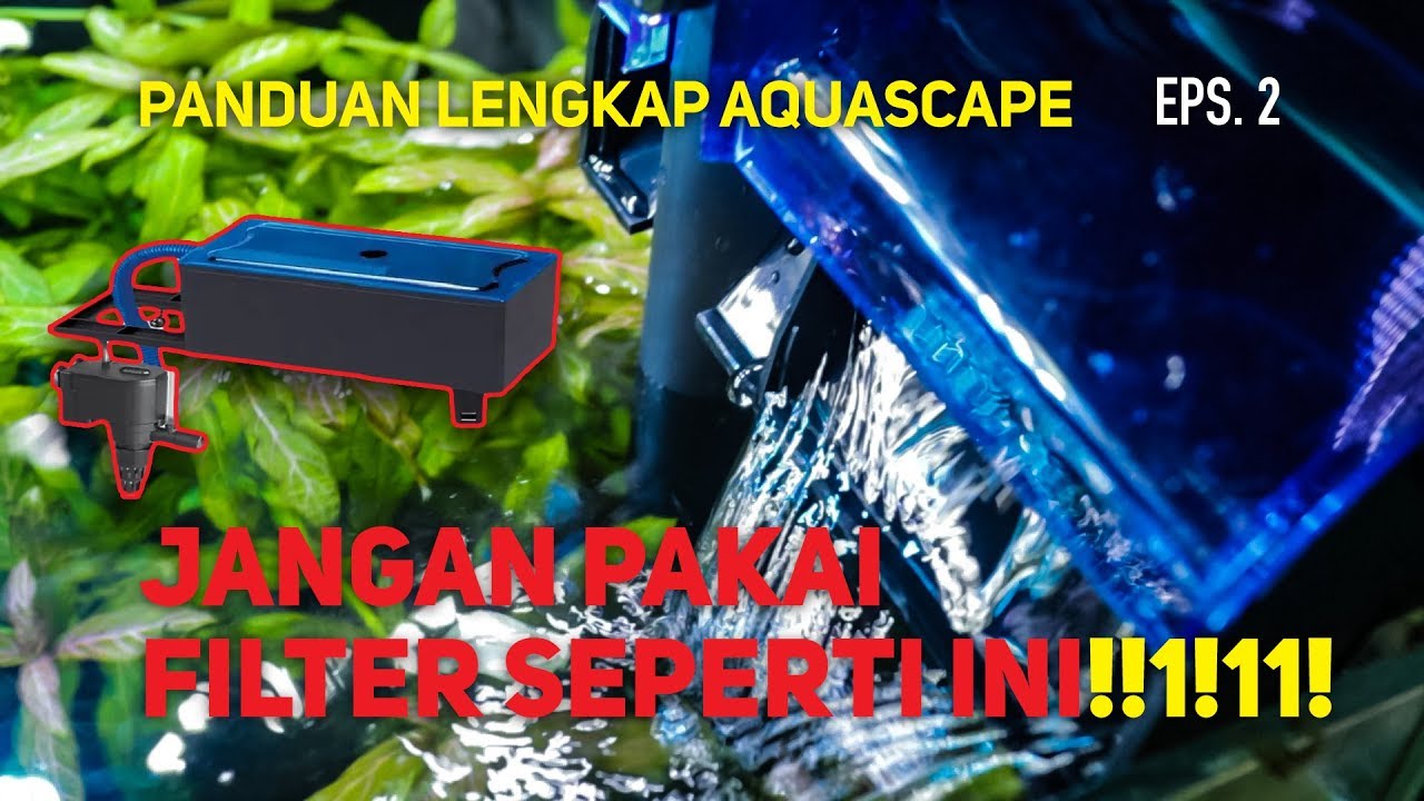 Jangan Sembarangan Pilih Filter Aquarium Aquascape - Episode 2