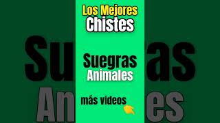 Mejores Chistes Corto de (Suegras) Mejores Chistes Corto de (Suegras)