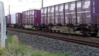 JR貨物EF210-134号機の様子　（浜松、弁天島周辺）