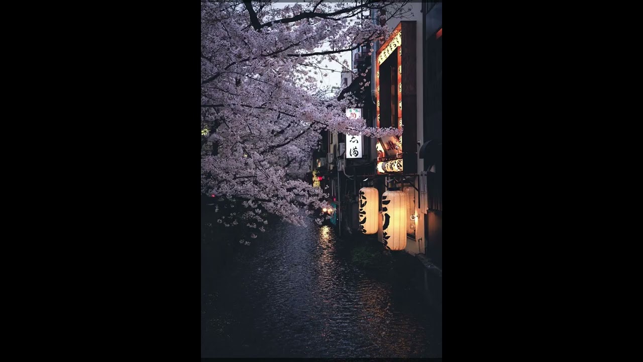 [FREE] ED SHEERAN TYPE BEAT "STARTING OVER"