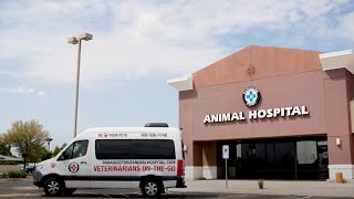 Paradise Point Animal Hospital Votg Doctor