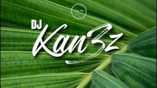 Barth X DJ KAN3Z - INFINI [REMIX ZOUK 2023]
