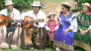 Rosita Flores - "Mi desconsuelo" chords