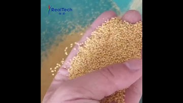Small multifunction color sorter for millet sorting