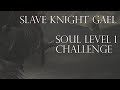 Slave Knight Gael Soul Level 1