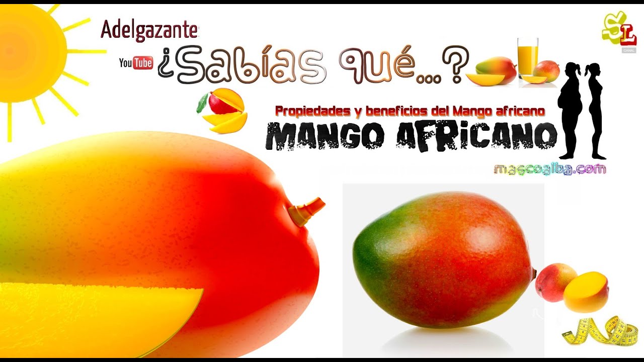 beneficios del mango africano