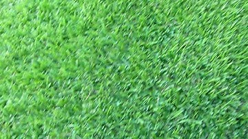 Panasonic DMC-FP1 capability HD Test Part 1