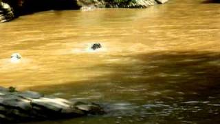 Hugh McMunn cool off plunge in River
