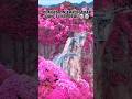 Wonderful places #wonderfull#places #viralshorts #shorts