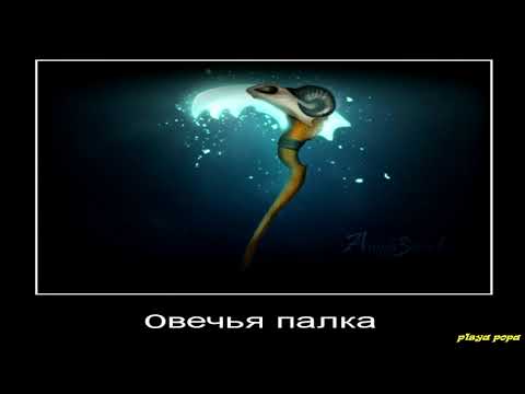 реакция героев доты на хекс