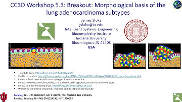 CC3D WS 5.3.3: Lung Adenocarcinoma Model, Connecting CC3DML and Python [James Sluka] August 2, 2024