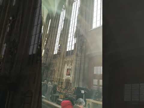 Video: Viini Püha Stefani katedraal: täielik juhend
