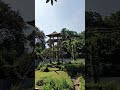 Orang utan kalimantan🦧 #zoo #animals #orangutan #nature #travelvlog