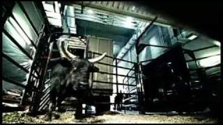 Sports Legends Talk About The Pbr And Professional Bull Riding