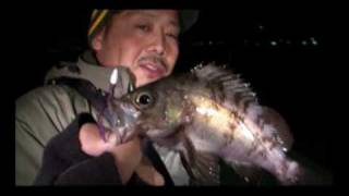 武田栄が泉南を釣る！　メバル、アジ、ガシラ全部行っとく!?　その６
