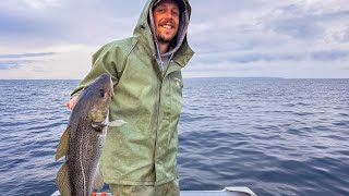 Filling the Freezer - A Summer of Cod Fishing in Newfoundland