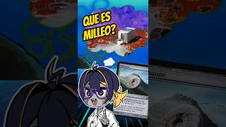 QUE SIGNIFICA "MILL"? / Dra. Yusei