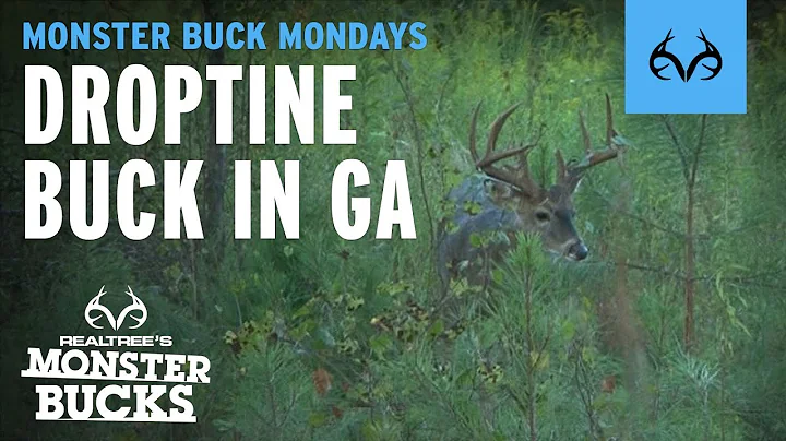 Droptine Buck at 20 YARDS| Roger Culpepper SELF FI...