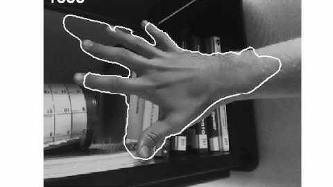 Prior Knowledge, Level Set Representations & Visual Grouping