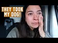 Our worst travel moment yet  | Campervan Road Trip Netherlands to Norway Ep 4