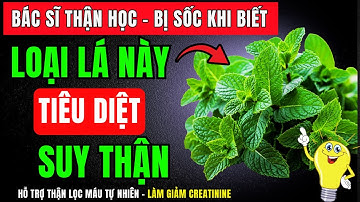 1 Loại lá giúp tiêu diệt suy thận, hạ creatinine, hết tiểu đêm, nước tiểu trong, ngủ ngon sâu giấc