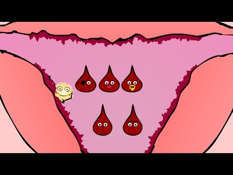 Funny menstruation animation (menstrual cycle)