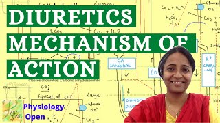 آلية عمل مدرات البول واستخداماتها | فسيولوجيا الجهاز الكلوي | علم الأدوية screenshot 4