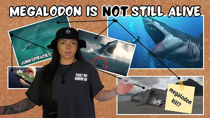 JUNKSPIRACIES: Megalodon is (NOT) still alive | Lindsay Nikole