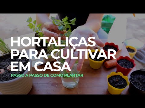 Vídeo: Como Cultivar Legumes Em Uma Encosta