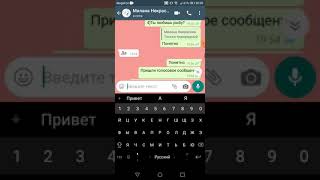 картинка: Переписка с Миланой Некрасовой фейк