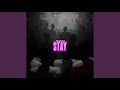 Stay Slowed Stay Slowed