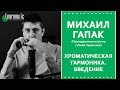 Хроматическая гармоника. Введение - Михаил Гапак