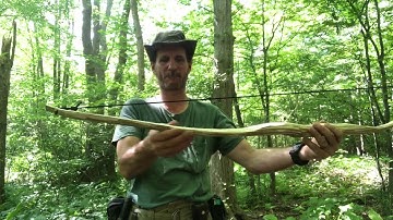 My first selfbow shortbow