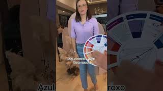 Harmonia Das Cores Hoje Ter Uma Sequncia Sobre As Harmonias De Cores Do Crculo Cromtico