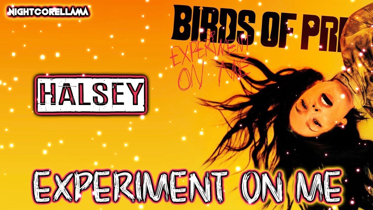 Experiment On Me Lyrics Halsey - Experiment On Me (Lyrics) | Official Nightcore LLama Reshape