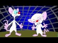 Pinky and the Brain PORN IT UP!