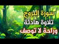 أجمل ما ستسمعه سورة البروج تلاوة هادئة القارئ حسام الدين عبادي قرآن كريم بصوت جميل للنوم