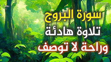 أجمل ما ستسمعه سورة البروج تلاوة هادئة 🎧 القارئ حسام الدين عبادي | قرآن كريم بصوت جميل للنوم