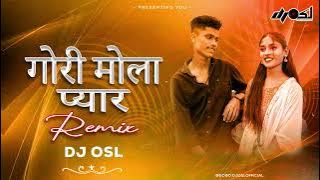 Gori Mola Pyar Hoge Re - Cg Song Remix - DJ OSL
