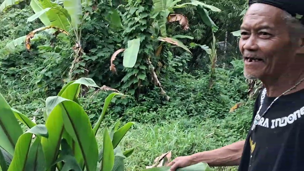 Ngaprak hari ini ada trnak lebah madu kecil, sperti semut tapi trbang, #lembah #cistu #dago #bandung