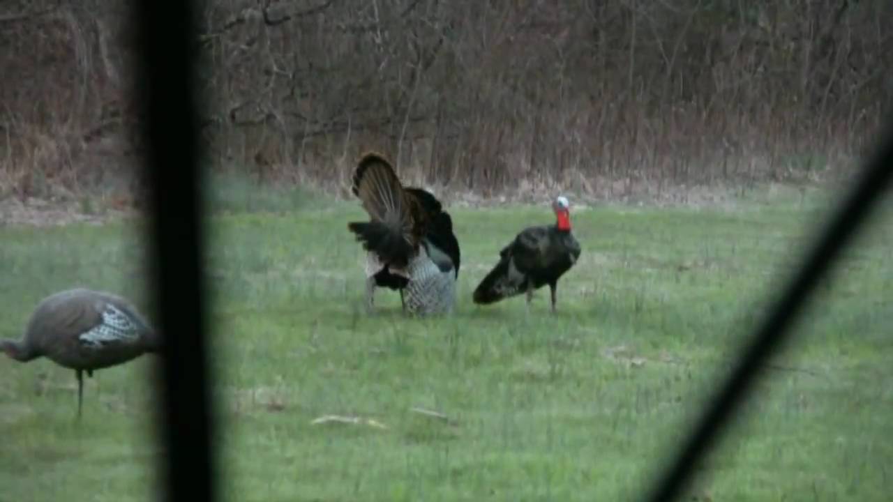 KY Youth Turkey Hunt 2011 YouTube