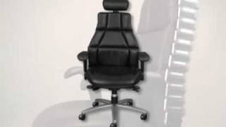 Verte Chair, Best Ergonomic Chair, Lumbar Support Chair