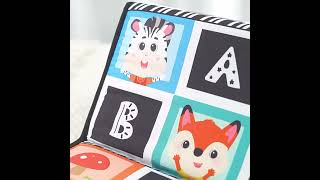 Tummy Time Baby Play Mat with Mirror Crinkle Book and Teether