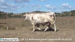 Lot 75 - Belbourie Park Silversmith V438 (P)