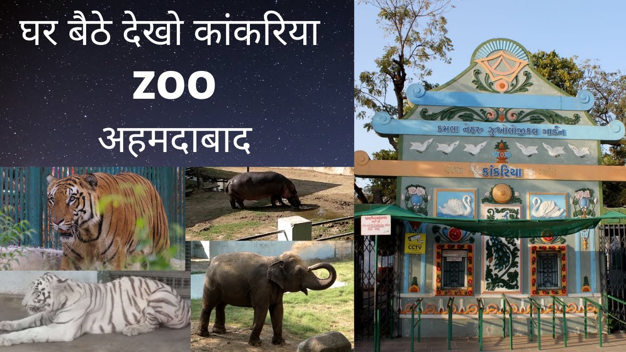 Kankariya Zoo Ahmedabad || Kamla Nehru Zoo || kankaria zoo || RPcam -  YouTube