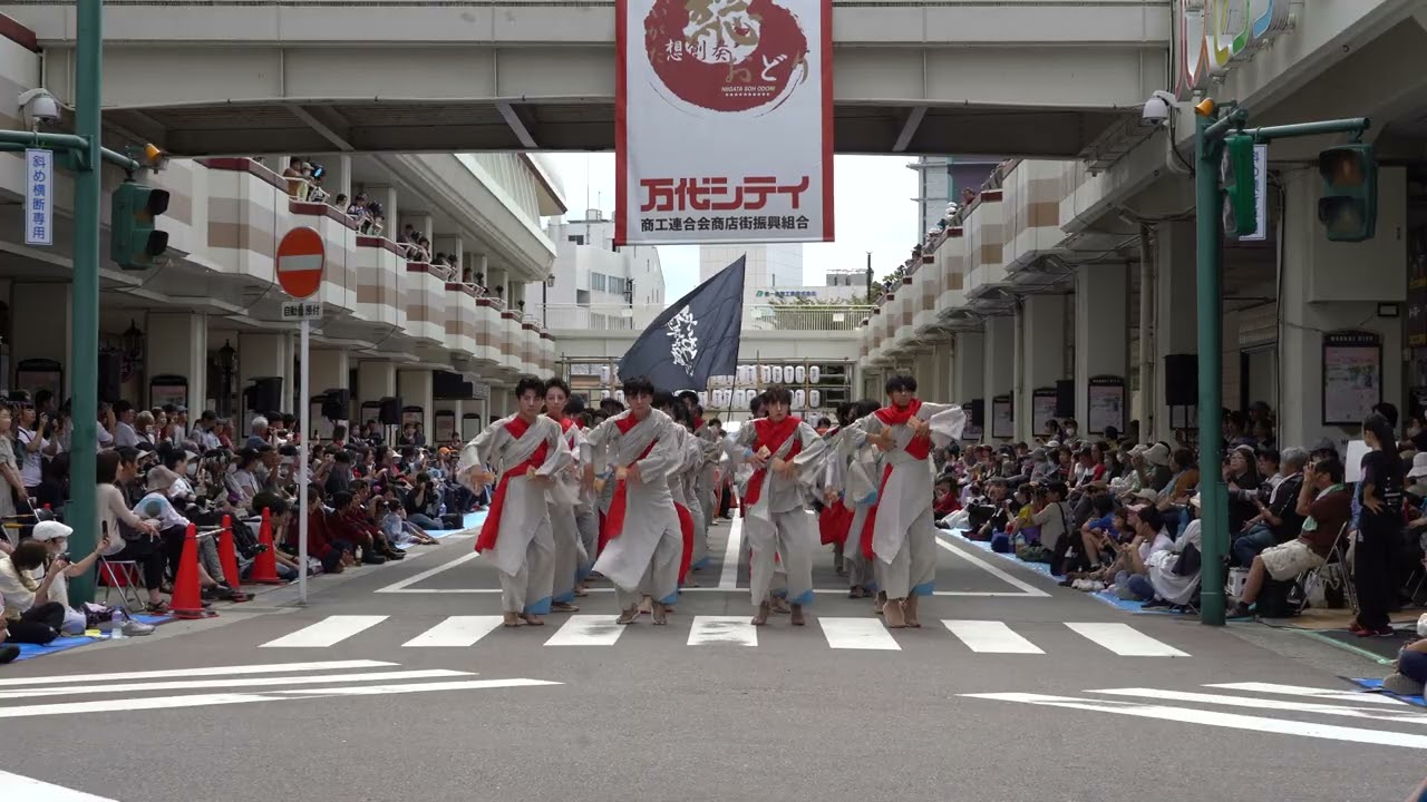 【4K】柳葉魚のざわめき(途中まで)　にいがた総おどり 2025 09-15（万代十字路）