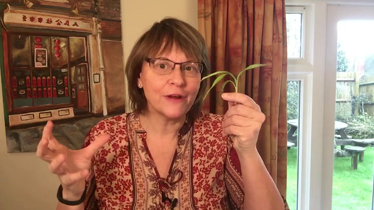 numerology-2018-personal-year-1-youtube