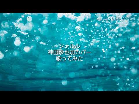 シャルル歌ってみた[4]