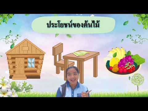 หน่วย ต้นไม้แสนรัก (ชั้นอนุบาล1)